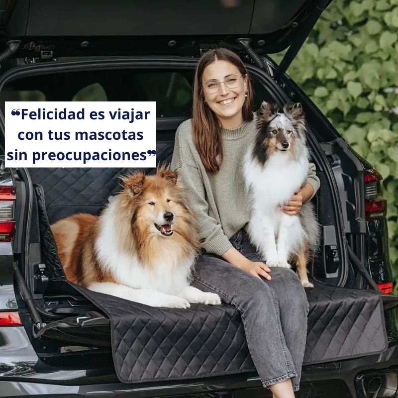 Protector del maletero